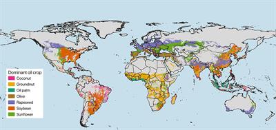 Sustainable nutrition and the case of vegetable oils to match present and future dietary needs